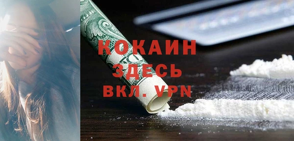 мет Алексин