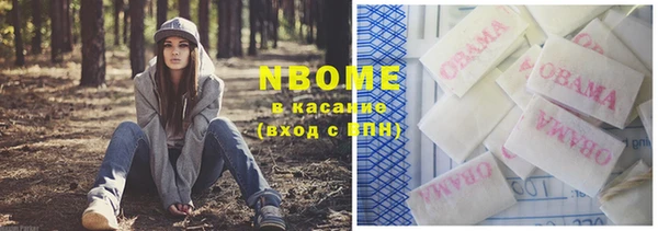 мет Алексин